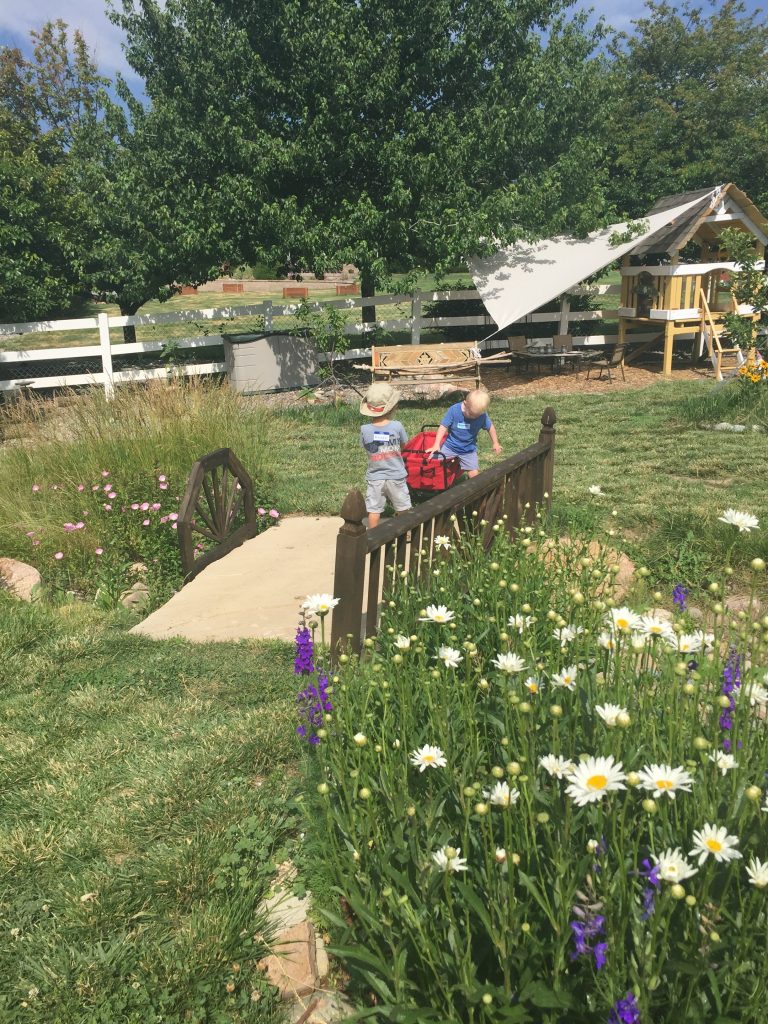 The Summer Play Garden
